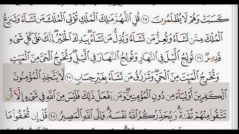 (3) سورة آل عمران | شيخ الزين محمد احمد