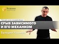 🔴 Срыв зависимого и его механизм | Лекция для созависимых Валерия Халилева