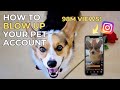 HOW To GROW A PET Instagram Account 10 Tips 100k Followers In 30 Days 