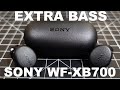 Sony Extra Bass WF-XB700 True Wireless : Bass Buds!