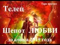 ТЕЛЕЦ.  ЛЮБОВЬ.  Таро прогноз октябрь, ноябрь, декабрь  2019 года.