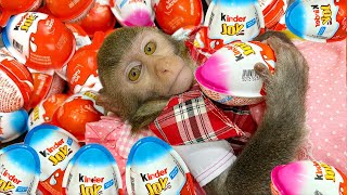 🐵Monkey baby Bim Bim takes care of the sick Ody cat and eats Kinder Joy candy | The Floor is Lava