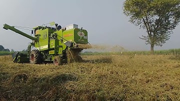 combine video#combineharvester#viralshorts#shorts#youtubeshorts #video #tractorman #harvest #love 