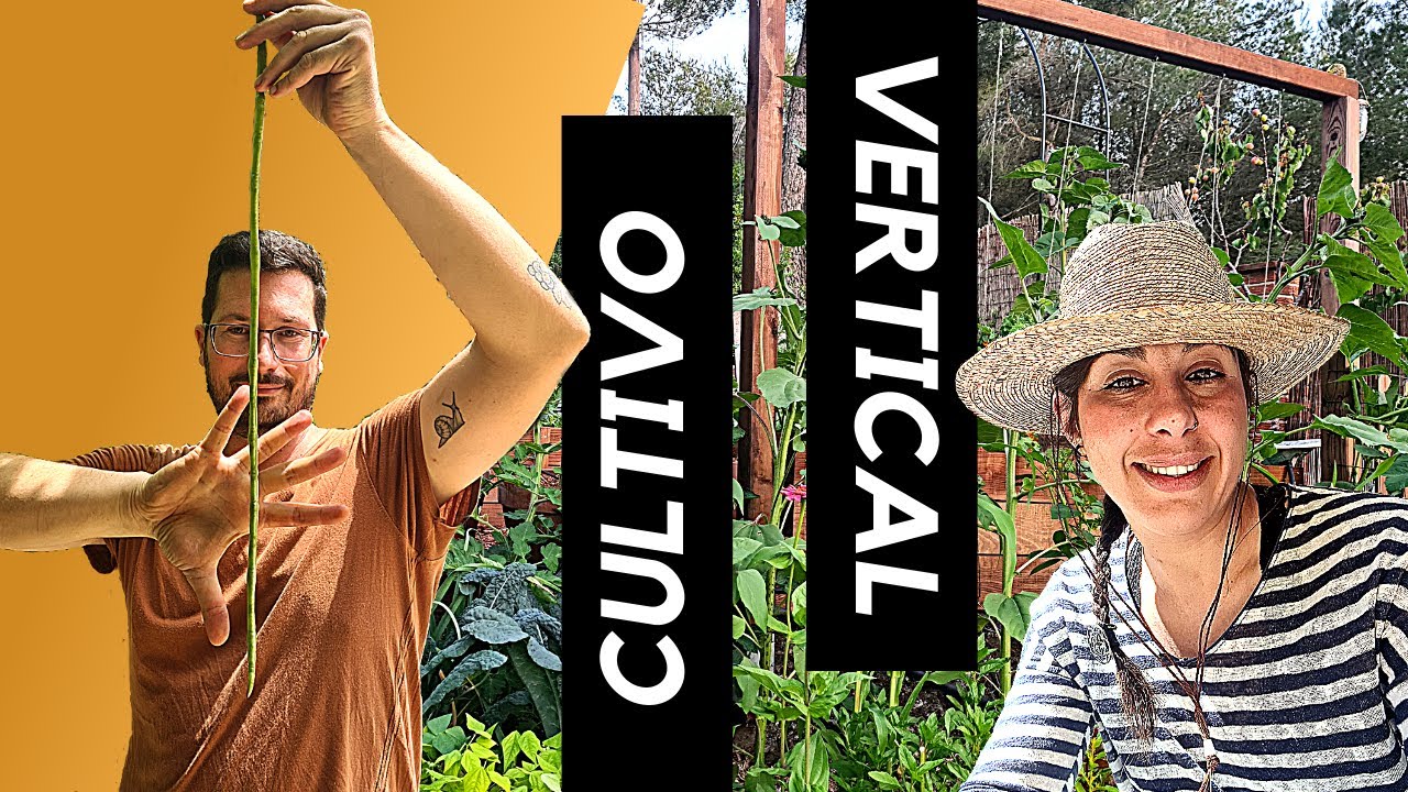 CULTIVO VERTICAL | Huerto urbano | TIPOS DE EMPARRADO | Huerto en poco espacio | La Tanina