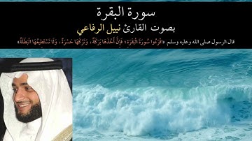 سوره البقرة بصوت نبيل الرفاعي (بدون اعلانات)