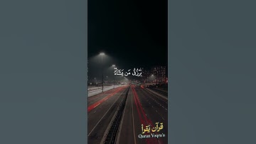 الله لطيف بعباده #سورة_الشورى #القرآن_الكريم #مشاري_العفاسي #اكسبلور #راحة_نفسية #لايك #تلاوات