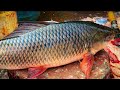 Big Rohu Fish Cutting | Bengali  Cutting | Bengali  Fish Cut