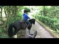 Horse Riding in Yorkshire : The Gate Ride : Part 1 : Can we get past the pigs!!