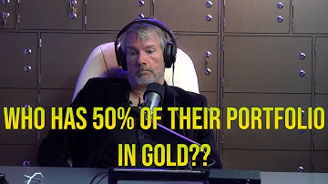 Michael Saylor DESTROYS Peter Schiff!