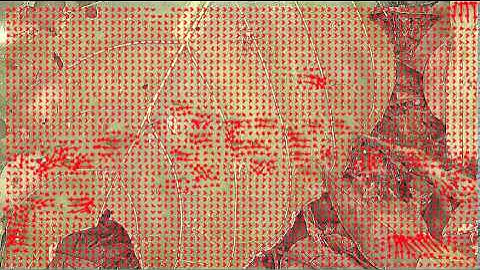 Analysis of traffic on an army ant trail using Particle Image Velocimetry