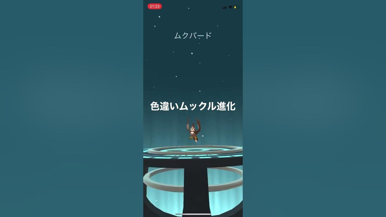 ポケモンgo 色違いムックル進化 色違いムクバード 色違いムクホーク Youtube