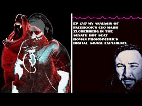 Ep #17 My Analysis of Facebook's CEO Mark Zuckerberg in the Senate Hot Seat