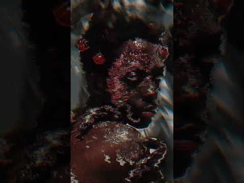 Afrobeat Reggaeton Latin