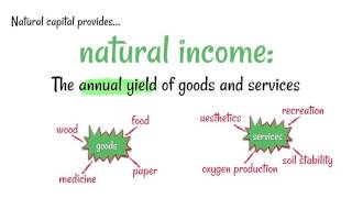 Sustainability, Natural Capital and Natural Income