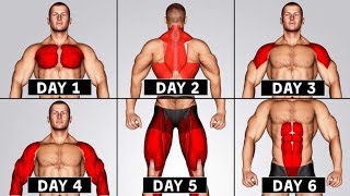 Full Week Gym Workout Plan | Best Plan for Maximum Results Chest, Back, Shoulders, Arms, Legs, Abs