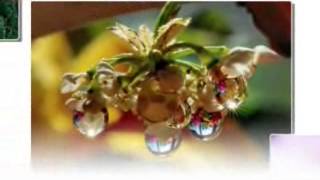 Hazırlayan Türk Oglu Uyusam Uykudan Uyanamıyom