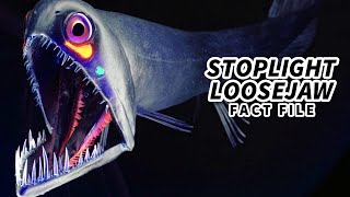 Stoplight Loosejaw Facts: a Soft SKELETON 💀 Animal Fact Files screenshot 4