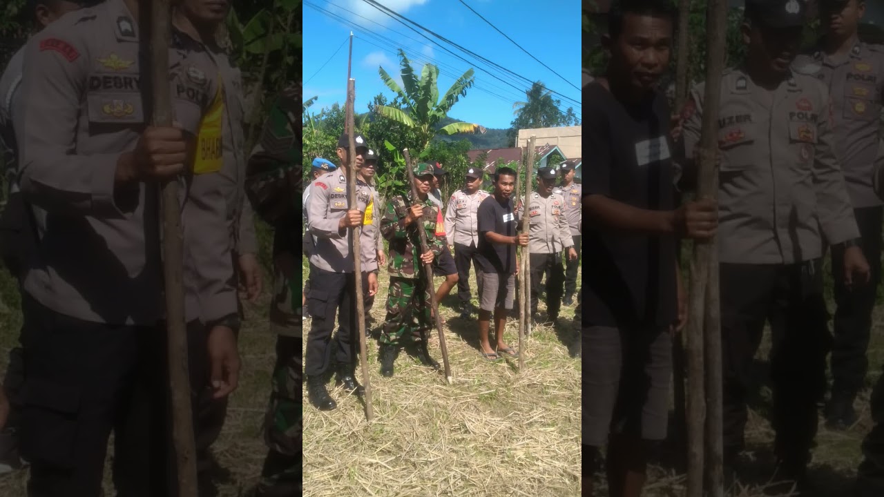 Kapolsek Tanjung Sakti Akp Edi Syam Putra besrta anggota penanaman jagyng serentak tahap III