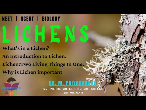 What&rsquo;s in a Lichen?An Introduction to Lichen|Lichen:Two Living Things In One|Why is Lichen important