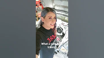This Is What A Tranny Looks Like Trans Transgender 