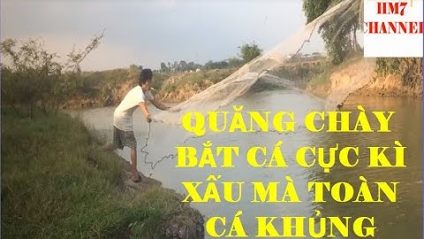 QUĂNG CHÀY BẮT CÁ CỰC KÌ XẤU MÀ DÍNH CÁ KHỦNG MỚI GHÊ | CATCH FISH IN VIETNAM PART 5