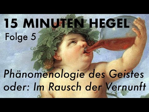 Video: Phänomenologie Und Theorie Des Geistes