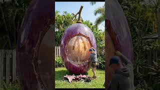 Grapes Bunker #grape #bunker #shorts #funny