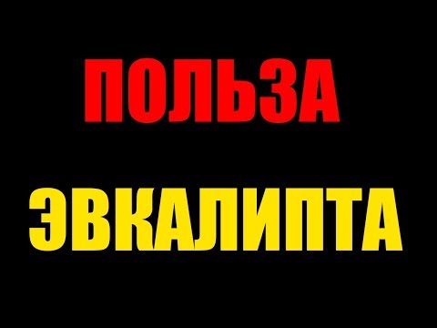 Видео: Токсичен ли эвкалипт для других растений?