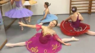 Mannequin Challenge - Ballet