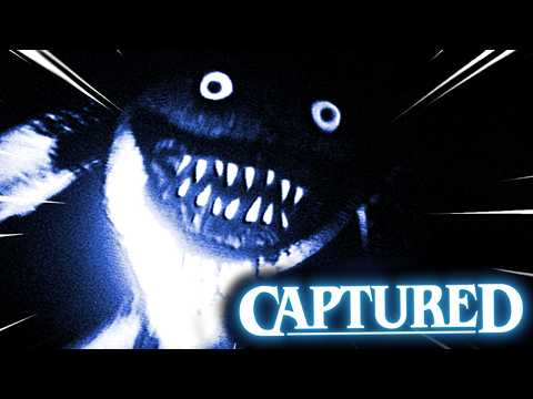 DER HASE MACHT MICH VERRÜCKT ;w;「CAPTURED」
