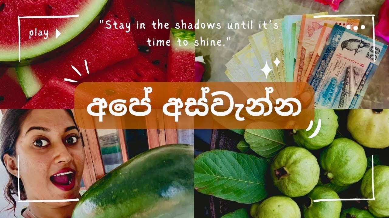 අත මිට සරු කරන, අස්වැන්නක් | කොමඩු, පේර වගාව | Watermelon & Guava 