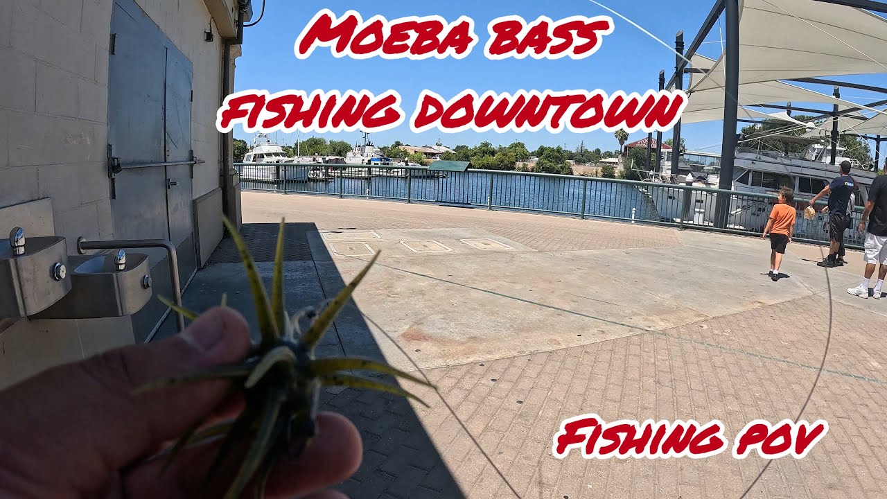 There’s BIG Bass At Downtown Stockton Waiting To Be Caught !!