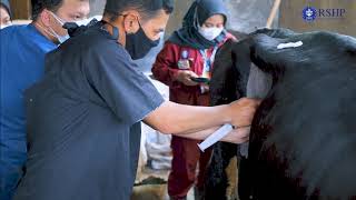 PROFIL RUMAH SAKIT HEWAN PENDIDIKAN FKH IPB UNIVERSITY