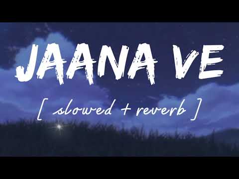 Jaana ve  Slowed  reverb    Lofi remix   Arjit singh  Wild waves 