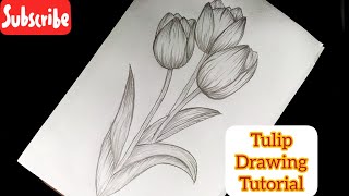 Easy Tulips Drawing For Beginners Flower Drawing