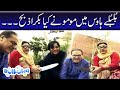 Bulbulay House Mein Momo Ne Kya Bakra Zibah - Bulbulay