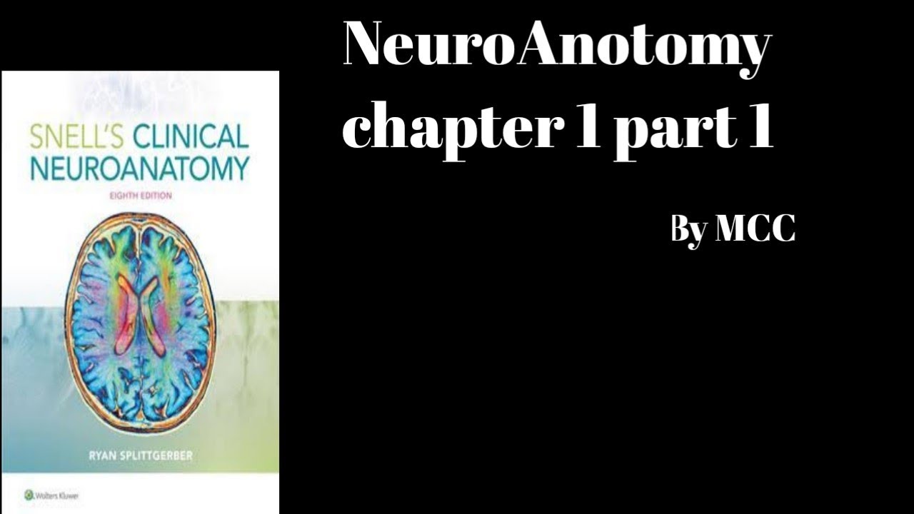 Neuroanatomy Chapter 1 part 1... - YouTube