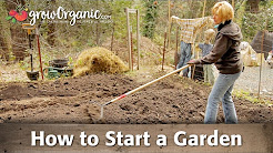 How to Start a Garden