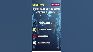 Which Part of the Brain Controls Speech? 🧠🗣️ #shorts  #quiz