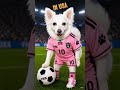 "Your ultimate FIFA 2026 guide is here!" #trending #viral #shots #fifa2026 #fifa #fifaworld