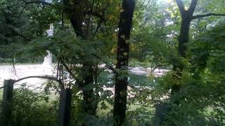Maxine & Patty The Asian Elephants at Bronx Zoo's Wild Asia Monorail