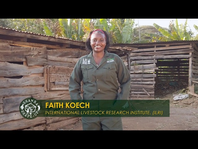 Thumbnail for Shamba Shape-Up Season 16 - Episode 23 - Farm 17 ILRI (English)