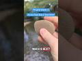 The ULTIMATE showdown: Stone skipping vs. Stone skimming ⚔️ Comment Team Skip or Team Skim!