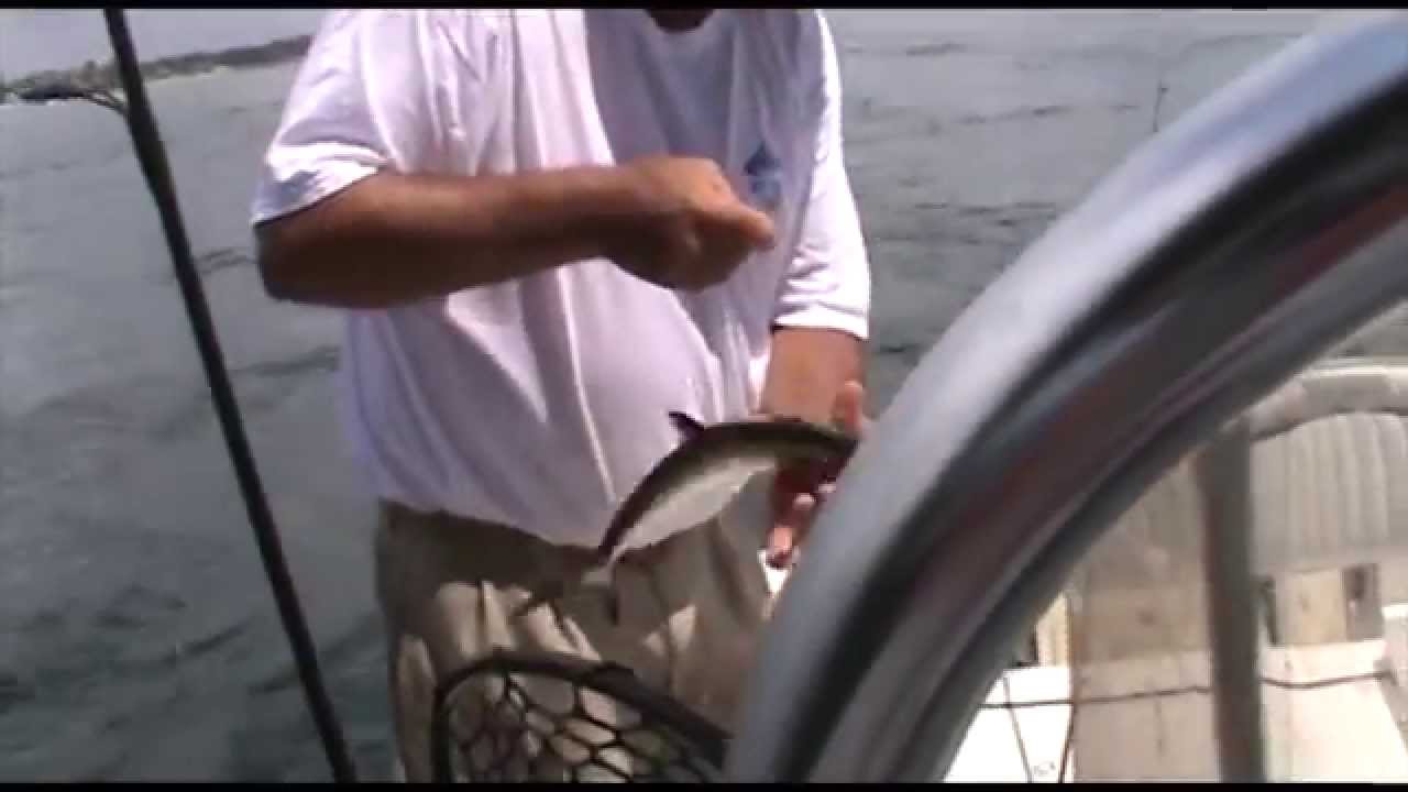 Light Tackle Fishing With Buzz Bait and Crab Claw