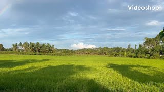 видео: Предупредите и помогите Вашим родителям …| информация которая заставит Вас задуматься картинка: Предупредите и помогите Вашим родителям …| информация которая заставит Вас задуматься