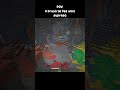 AAH bruxa dos inferno #minecraft #minecraftmemes #minecraftshorts