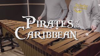 Pirates of the Caribbean (캐리비안의 해적 OST) - He’s A Pirate - Pulse Marimba Cover