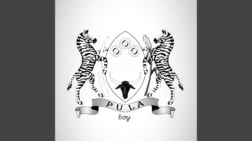 2000 likes (feat. Chrysanthus)