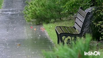 ولاتقولوا لما تصف السنتكم هاذ حلال وهاذ حرام التفتروا على الله الكذب}[اللقارئ رعد محمد الكردي]