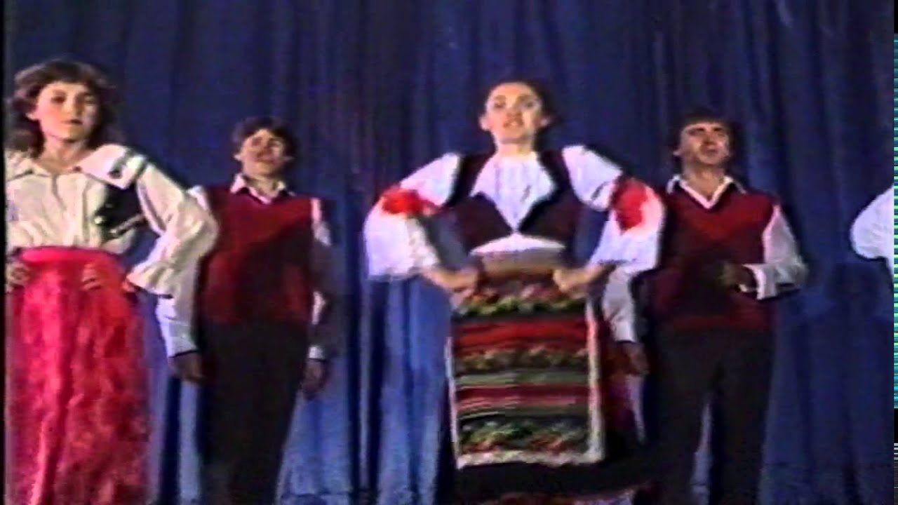 BRACA BABAJIC-ZALUD MALA VIDEO